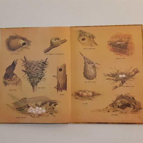 THE BOOK OF SONGBIRDS w/ 78 rpm record of bird songs - Picture 8 of 10